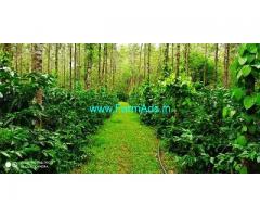 10 Acre Coffee Land for Sale Near Chikmagalur