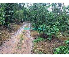 14 Acre Coffee Land for Sale Near Chikmagalur