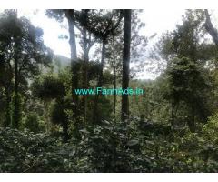 40 Acre Coffee Land for Sale Near Chikmagalur