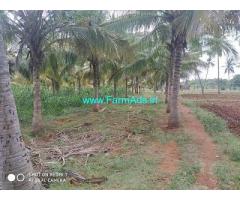 10.5 Acre Farm Land for Sale Near Vadugapatti