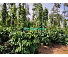 5 Acre Coffee Land for Sale Near Chikmagalur