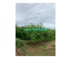 1.25 Acre Farm Land for Sale Near Periyapatti