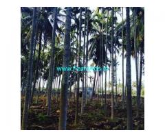 5.5 Acre Coffee Land for Sale Near Chikmagalur
