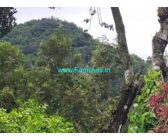 10 Acre Coffee Land for Sale Near Mudigere