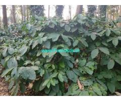 220 Acres Coffee Estate for Sale at Coorg