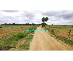 4 Acres Agriculture land for Sale at Bevinahalli