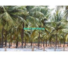11 Acres of Coconut Farm for Sale in Udumalapet