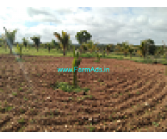 4 Acre Agriculture Land for Sale in Doddahennegere, Handanakere