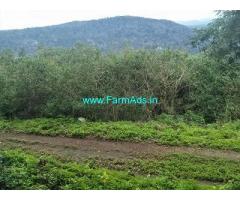 40 Acre Farm Land for Sale Near Chikmagalur