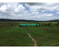 15 Acre Farm Land for Sale Near Mudigere