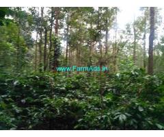 10 Acre Farm Land for Sale Near Chikmagalur, 13 KM away from city