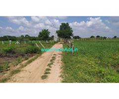 12 Gunta Of Agriculture Land For Sale at Humnabad