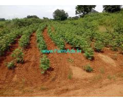 6 acres Agriculture land for sale. 10 KMS from Gundlapally, Karimanagar