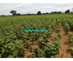 6 acres Agriculture land for sale. 10 KMS from Gundlapally, Karimanagar
