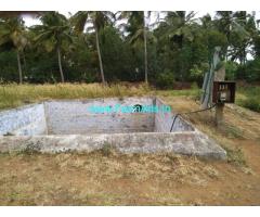 3.25 Acres Coconut Farm for sale at Dharapuram