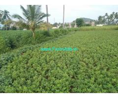 5 acres of agriculture land for sale at Singipuram, Vazhapady, Salem.