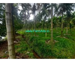3 Acre 30 Guntas farm land For Sale near NR Pura . Narasimharajapura
