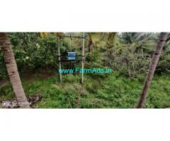 13 Acers Green farm with assorted trees for sale at Kunigal Taluk