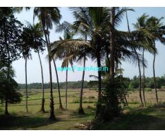 3 Acre Farm Land plot for sale at Nakre, Karkala, Udupi.