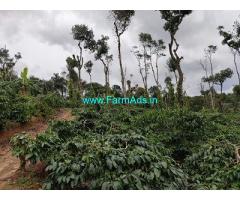 5 Acre Coffee Land for Sale Near Mudigere