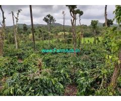5 Acre Coffee Land for Sale Near Mudigere