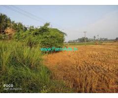 3.5 Acre Farm Land for Sale Near Kalpakkam