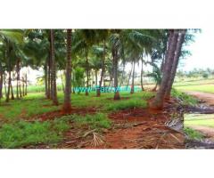 12 Acres Coconut farm for sale in Theni, Kumbum - Kumuli road.