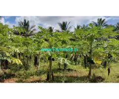 9 Acres Developed Farm Land for sale 50 KMS from Mysore.