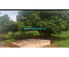 25 Acres Coconut plantation for sale at Muskal Hemdala road