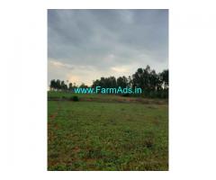 3 Acre Farm Land for Sale Near Basaralu, Mandya Nagamangala road