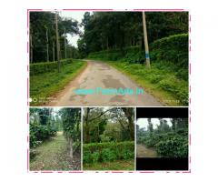 4 Acres Well maintained Coffee Estate for sale, 8 KMS from Virajpet