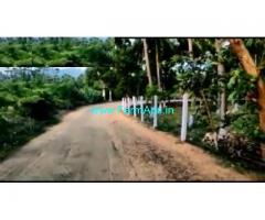 15 Acres Agriculture Coconut Farm Land For Sale Karam Bhai Tirunelveli