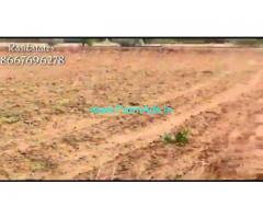 45 Acres Agriculture Land For Sale In Sankarankoil Thoothukudi.