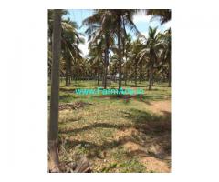Coconut farm 3 acer for sale. Senjerimalai, Thruppur.