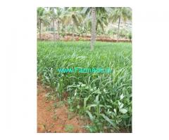 Eight acres of agricultural land for sale in Vellore near Vazhappadi