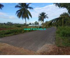 3 acre agricultural farm land available for sale near Pandavapura.