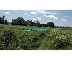 74 Cents Farm Land for Sale at Hanumanthapuram