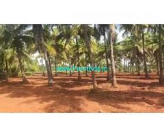 25 Acres Coconut plantation for sale at Hiriyur, Muskal - Hemdala road