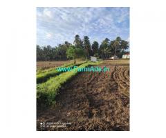 5.50 acres farm land for sale at udumalpet to palladam main road