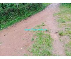 2 Acre Land for Sale Near Mudigere