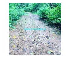 1.5 Acre Coffee Land for Sale Near Mudigere