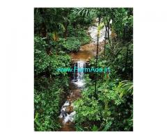 200 Acre Coffee Land for Sale Near Chikmagalur