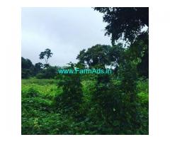 4 Acre Farm Land for Sale Near Chikmagalur