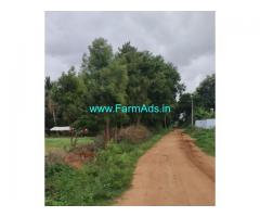 1.5 acre agriculture land for sale at Holavanahalli, Koratagere