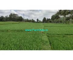 1 Acres 21 Gunta Farm land for sale Mandya - Mysore Road, near Arakere.
