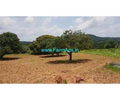 4 Acres 20 Gunta Mango Farm For Sale In Near Gaduge Road Mysore