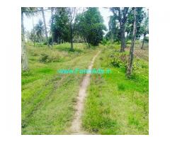 3.5 Gunta Farm Land for Sale Near Chikmagalur,Kuruvangi road