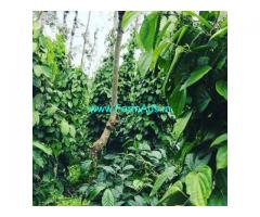 2 Acre Coffee Land for Sale Near Mudigere