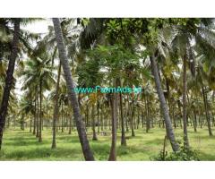 66 acres agriculture land for sale at pollachi area near kovilpalyam