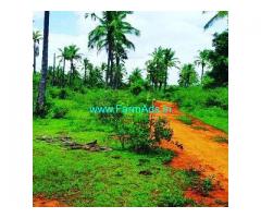 21 Acre Farm Land for Sale Near Chikmagalur,Kadur Road